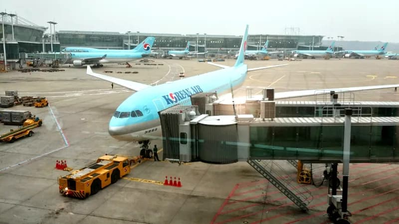 Air Freight