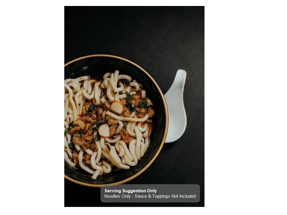 Fresh Udon Noodles 2