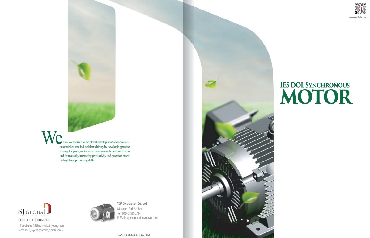 LPS MOTOR (IE5) 2